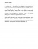 El síndrome del túnel carpiano