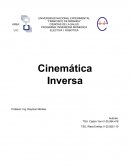 Cinematica inversa