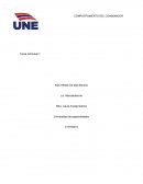 Comportamineto del consumidor