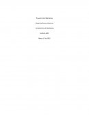 Proyecto Final Marketing MASOPUNTO