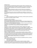 Introduccion Servicio social