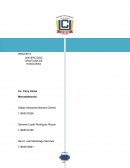 Papelera Internacional SA