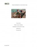 Proyecto final prevencion de riesgos