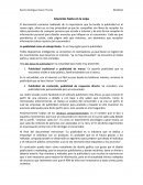 Ensayo Anuncios hasta en la sopa