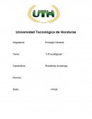 3 R ecológicas