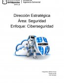 Cyberseguridad