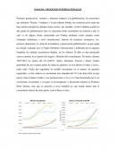 ENSAYO: NEGOCIOS INTERNACIONALES