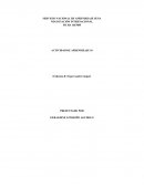 PERSPECTIVAS DE LAS EXPORTACIONES DE AGUACATE DE SUDÁFRICA