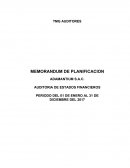 TMG AUDITORES MEMORANDUM DE PLANIFICACION