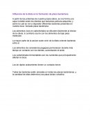 Influencia de la dieta en la formación de placa bacteriana