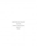 Análisis del Macroentorno y Microentorno Sebastiana Zapatería