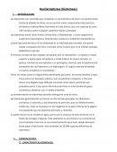 Bacillariophytas (Diatomeas)