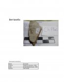 Informe de campo paleontologia