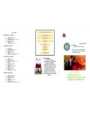 PRODUCION DE BEBIDA VITAMINICA