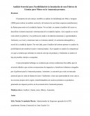 Análisis Sectorial para Factibilidad de la Instalación de una Fábrica de Llantas para Motos en la Amazonía peruana