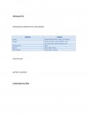 Analisis empresa gloria