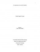 El experimento en la cárcel de Stanford