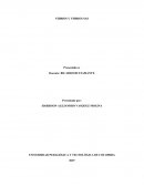 VIDRIOS Y VIDRIOS SAS