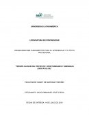 Tercer avance del proyecto: oportunidades y amenazas (obstáculos)