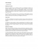 Descripción general Horas Soporte