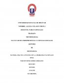 PERCEPCIONES SOBRE LIDERAZGO