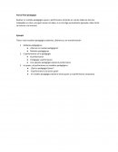 Hacia modelos pedagógicos abiertos, dinámicos y en transformación