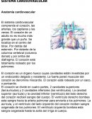 SISTEMA CARDIOVASCULAR