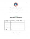 CASO PRACTICO Siete herramientas de ishikawa