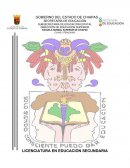 La falta de interés por el aprendizaje de la física