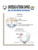 CRITERIOS DE MADUREZ, EDAD DE CORTABILIDAD O TURNO EN MASAS FORESTALES