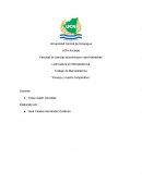 Trabajo de Mercadotecnia “Ensayo y cuadro comparativo”