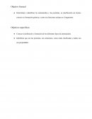 Aminoácidos: De la molécula simple a la compleja red proteica