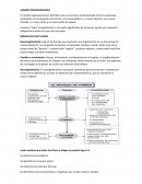 CAMBIO ORGANIZACIONAL