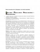 Bases neuronales de los videojuegos