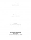 Segmentación De Mercado Bolsas Biodegradables