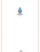 Avance De Análisis De Consumidor Super Tienda Morena