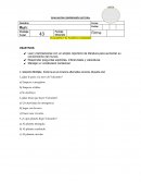 VULCANITO Y EL PLANETA CUADRADO