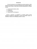 Campaña Publicitaria