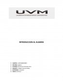 INTRODUCCION AL ALGEBRA