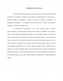 Ensayo Identidades Macroeconómicas