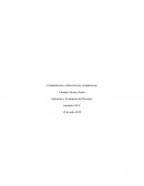 Competencias y entrevista por competencias