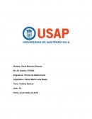 GUÍA DE ANÁLISIS DE LA OBRA: El Rapto de la Sevillana