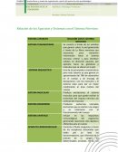 Relación de los Aparatos y Sistemas con el Sistema Nervioso