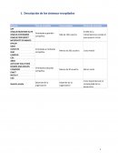 Descripción de los sistemas recopilados