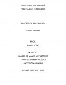 Enfermeria. El cáncer de mama