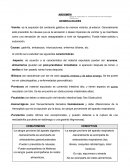 Abdomen generalidades