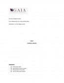 PLAN DE MERCADEO - CASO 1 EMPRESA SANCHEZ