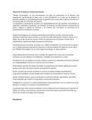 Historia de la empresa y Proyecciones futuras