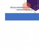 Metas organizativas y eficacia