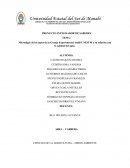 Microalgas de los tapes de la Granja Experimental Andil-UNESUM y su relación con la calidad del agua